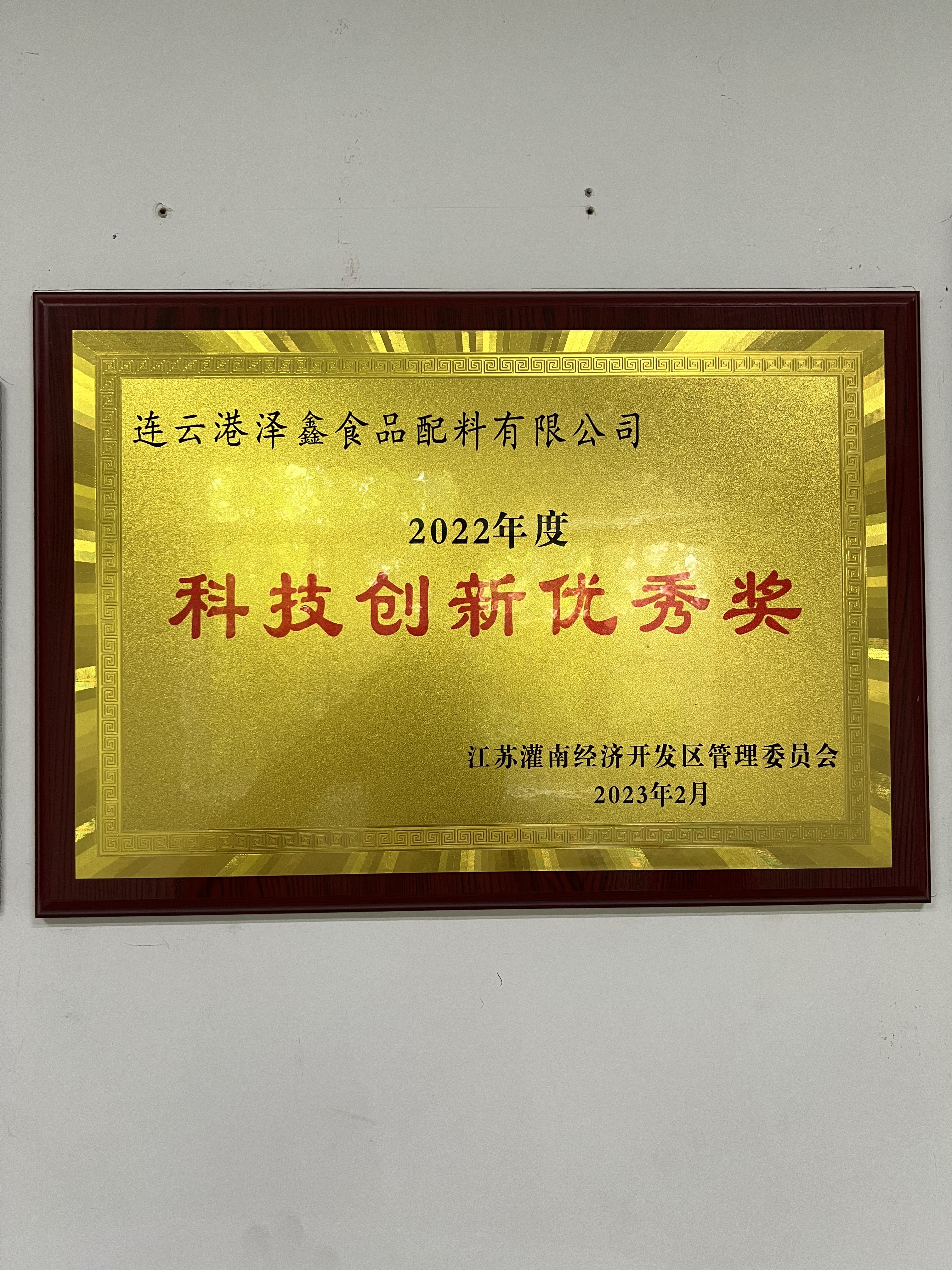 科技创新优秀奖